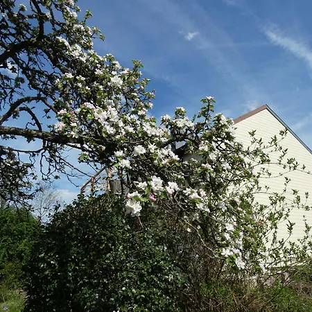 住宿加早餐酒店 Au Val Des Meuris