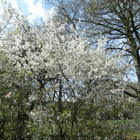 Frühstückspension Au Val Des Meuris