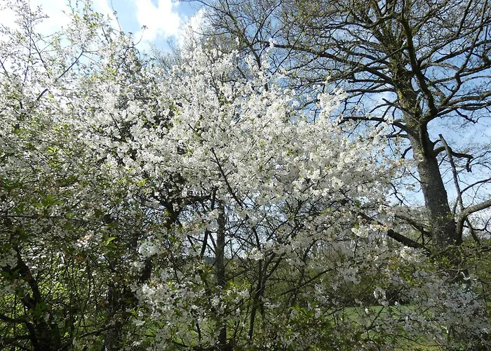 Bed & Breakfast Au Val Des Meuris